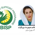 Benazir Income Support